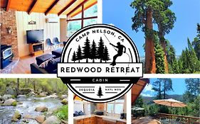 Redwood Retreat, Mountains, Adventure And Nature